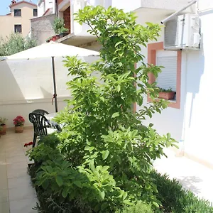 Sunce Pola